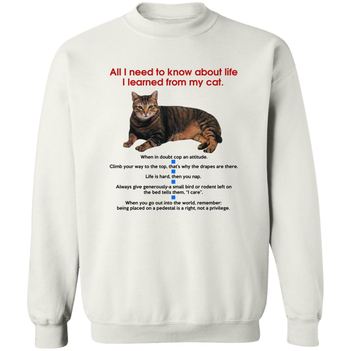 All I Need To Know About Life I Learned From My Cat Shirt