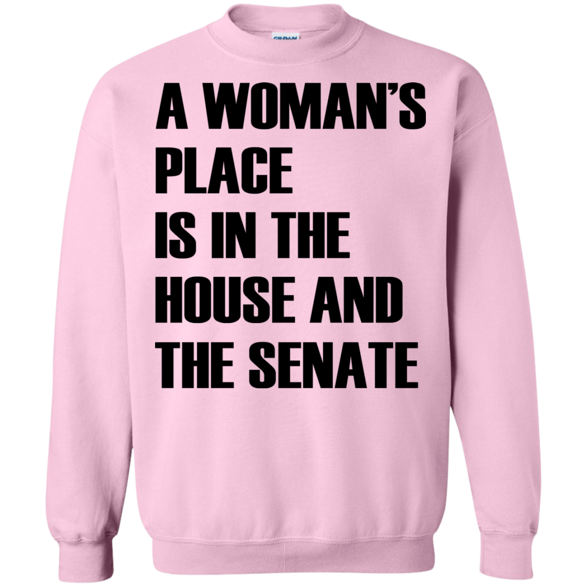 A Woman's Place Is In The House And The Senate T-Shirt - TeeDragons