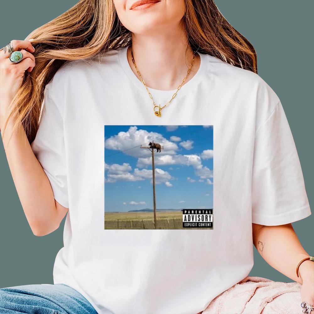 Bear On Top Of The Light Pole T-Shirt