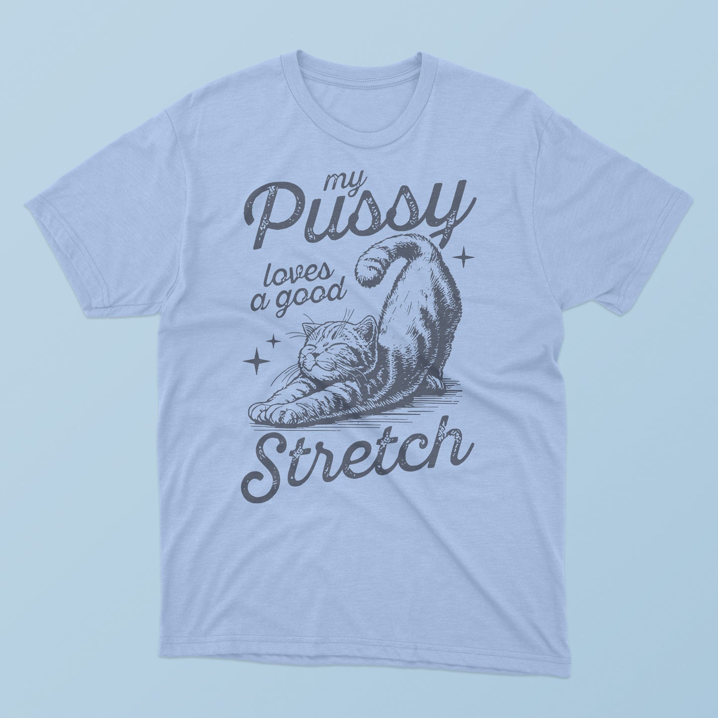 Cat My Pussy Loves A Good Stretch T-Shirt
