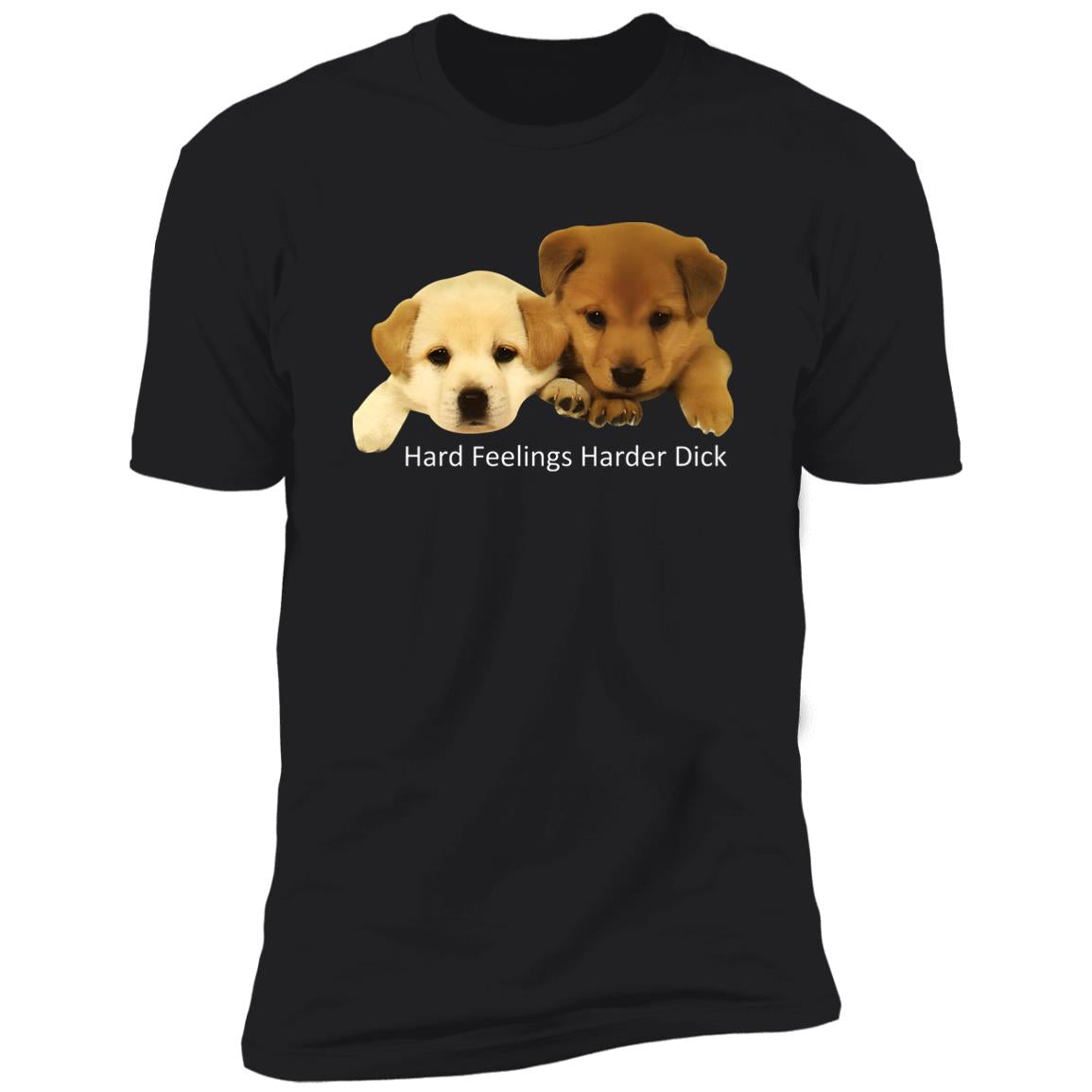 Hard Feelings Harder Dick Drake Shirt