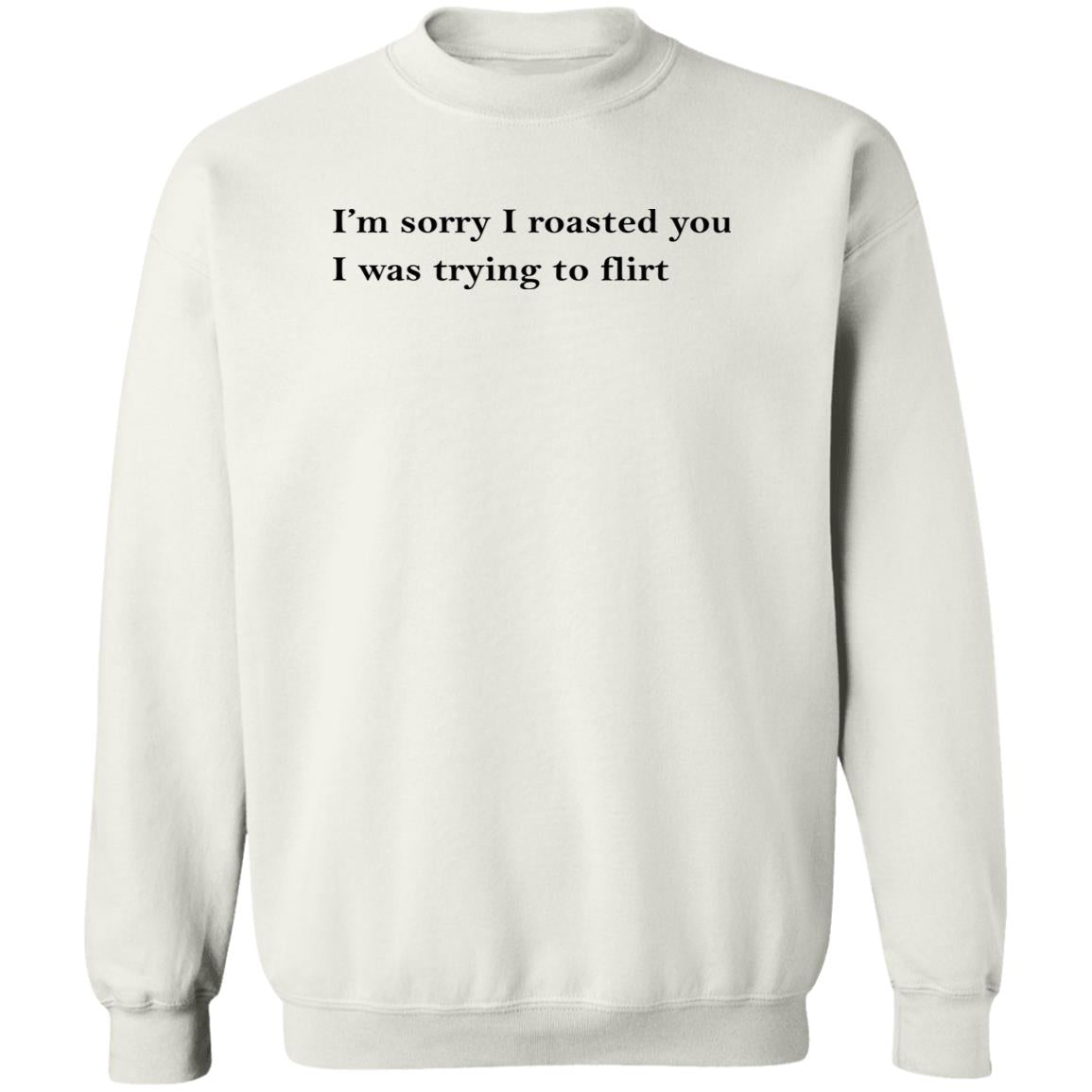 I’m Sorry I Roasted You I Was Trying to Flirt Shirt