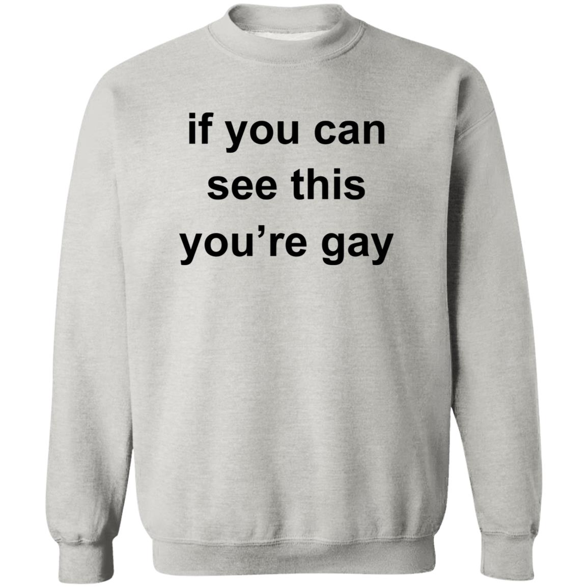 If You Can See This You’re Gay Shirt