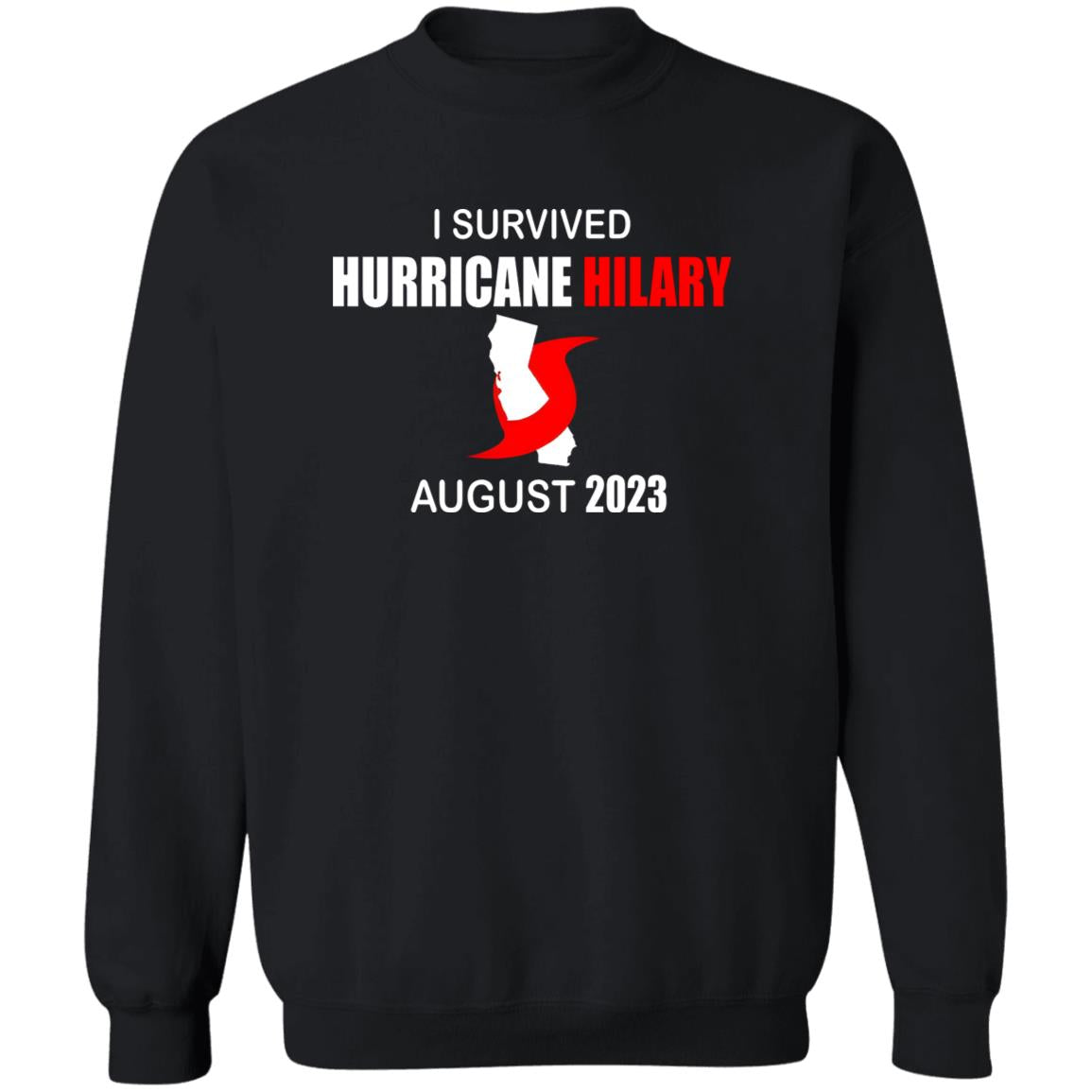I Survived Hurricane Hilary August 2023 Shirt