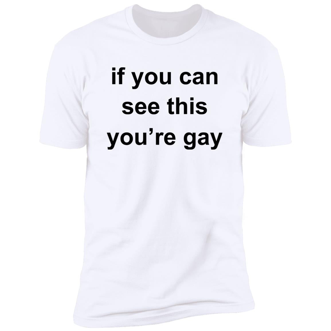 If You Can See This You’re Gay Shirt