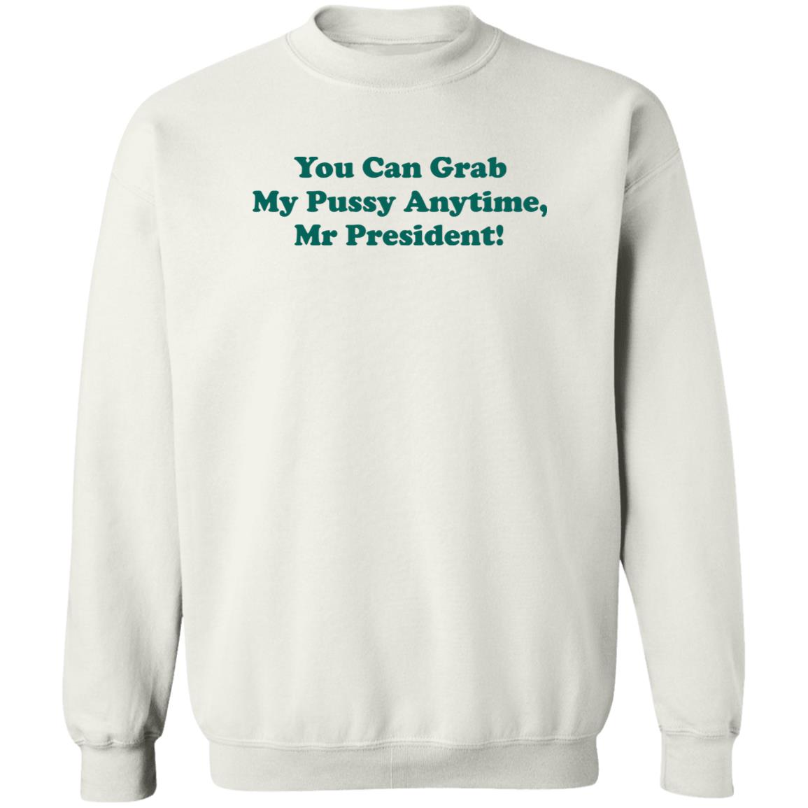 You can grab my pussy anytime Mr President shirt