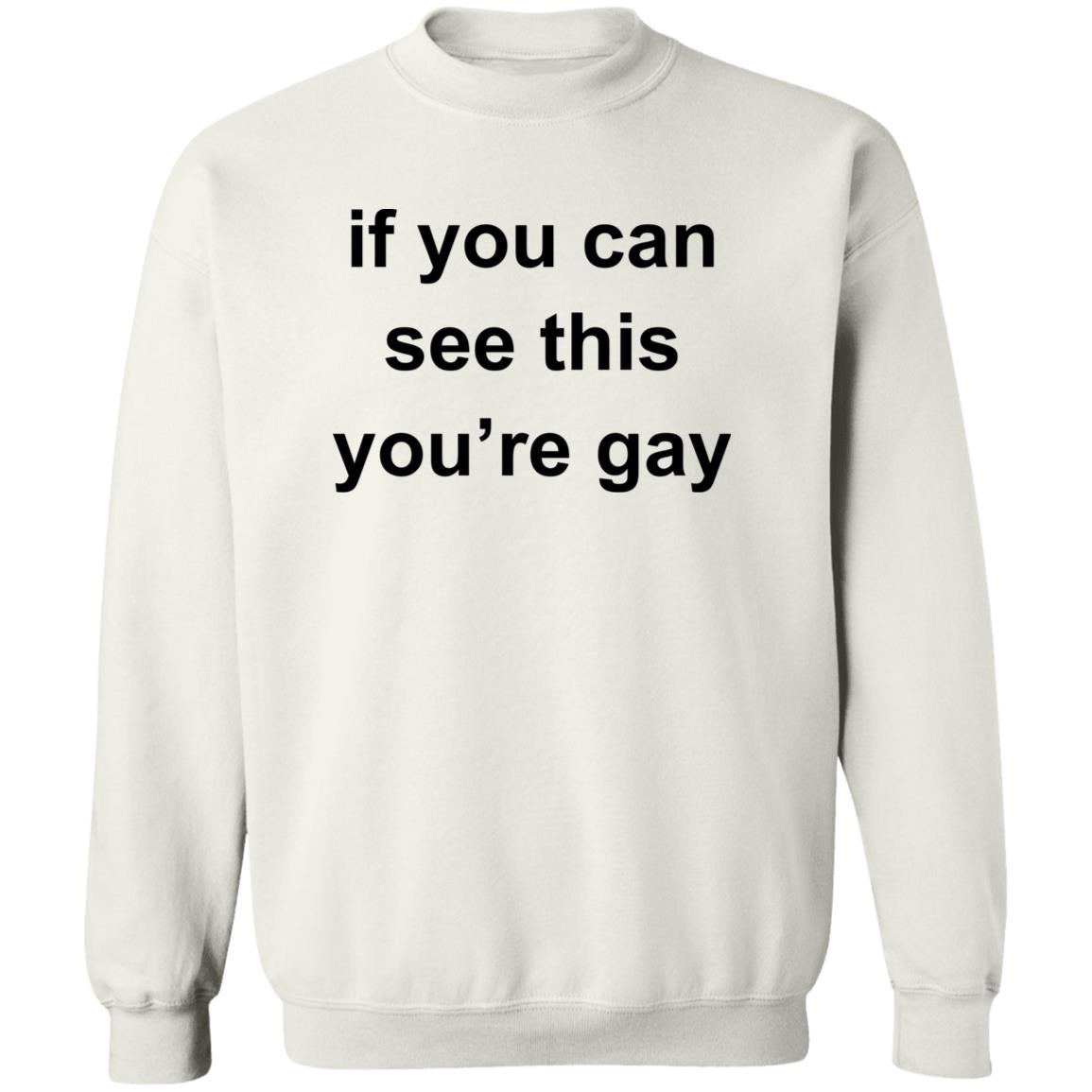 If You Can See This You’re Gay Shirt