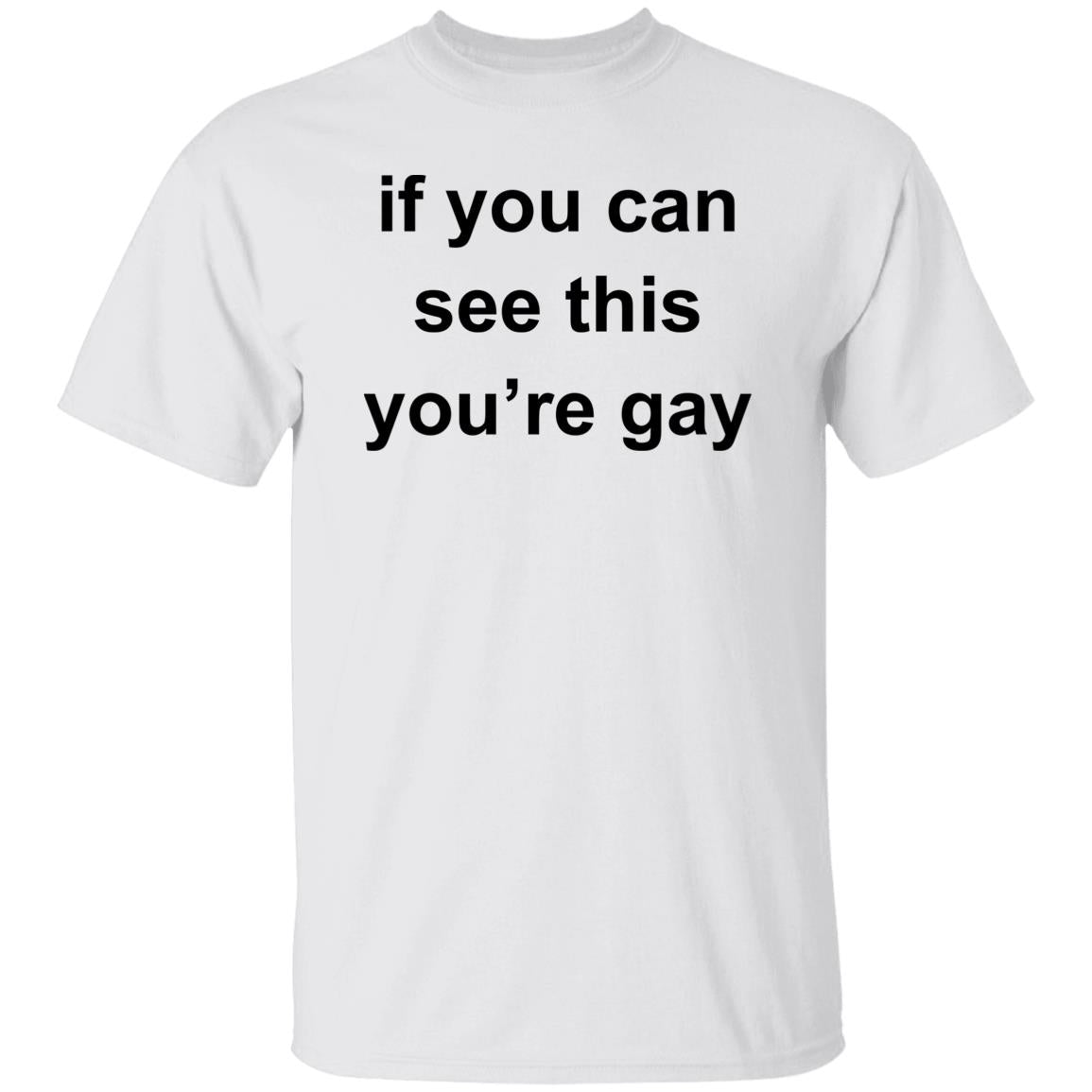 If You Can See This You’re Gay Shirt