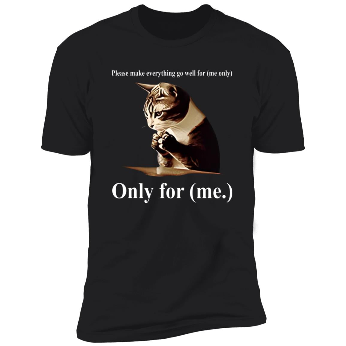 Cat Please Make Everything Go Well For Me Only Shirt