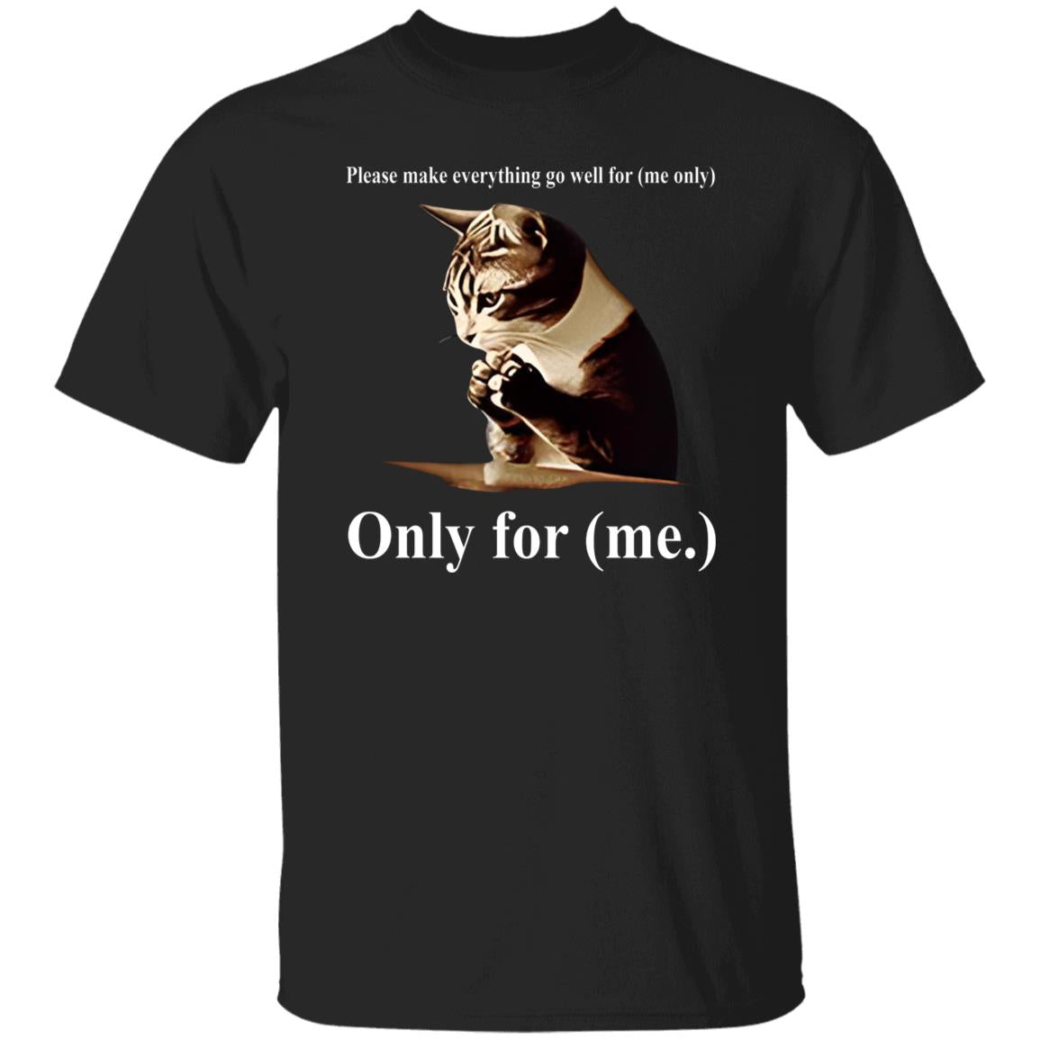 Cat Please Make Everything Go Well For Me Only Shirt