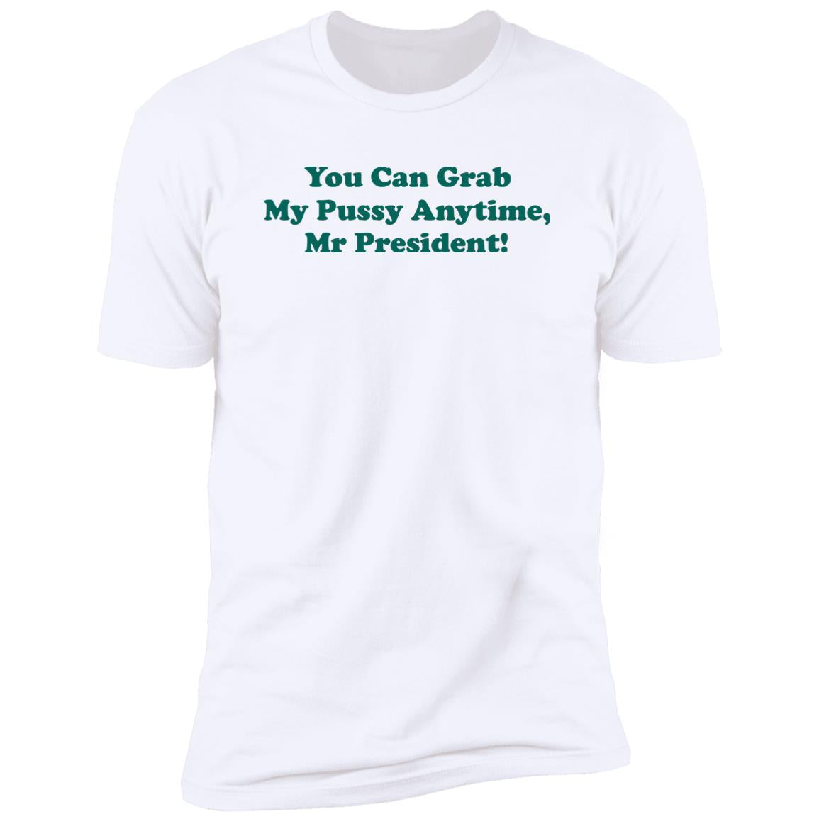 You can grab my pussy anytime Mr President shirt