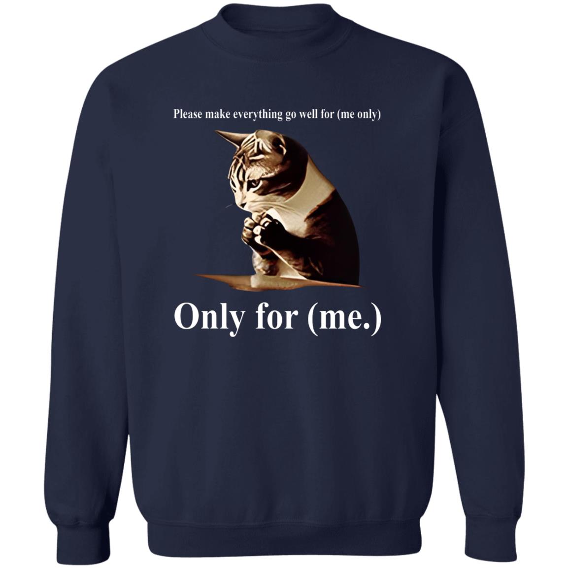 Cat Please Make Everything Go Well For Me Only Shirt