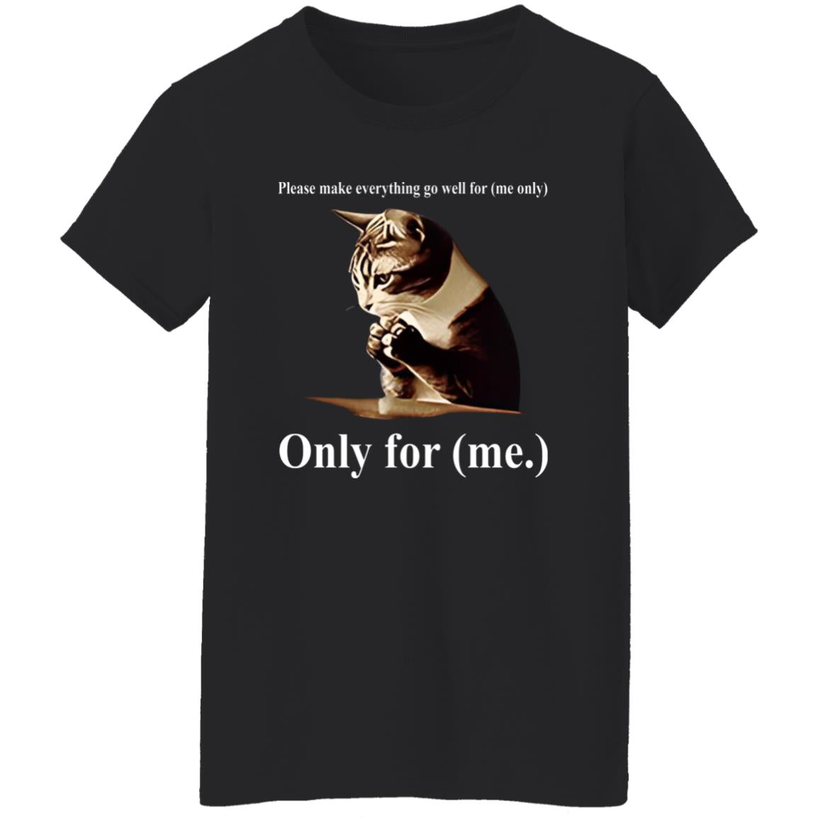 Cat Please Make Everything Go Well For Me Only Shirt