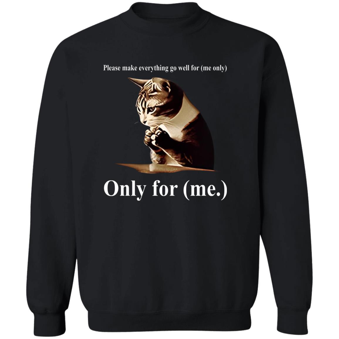 Cat Please Make Everything Go Well For Me Only Shirt
