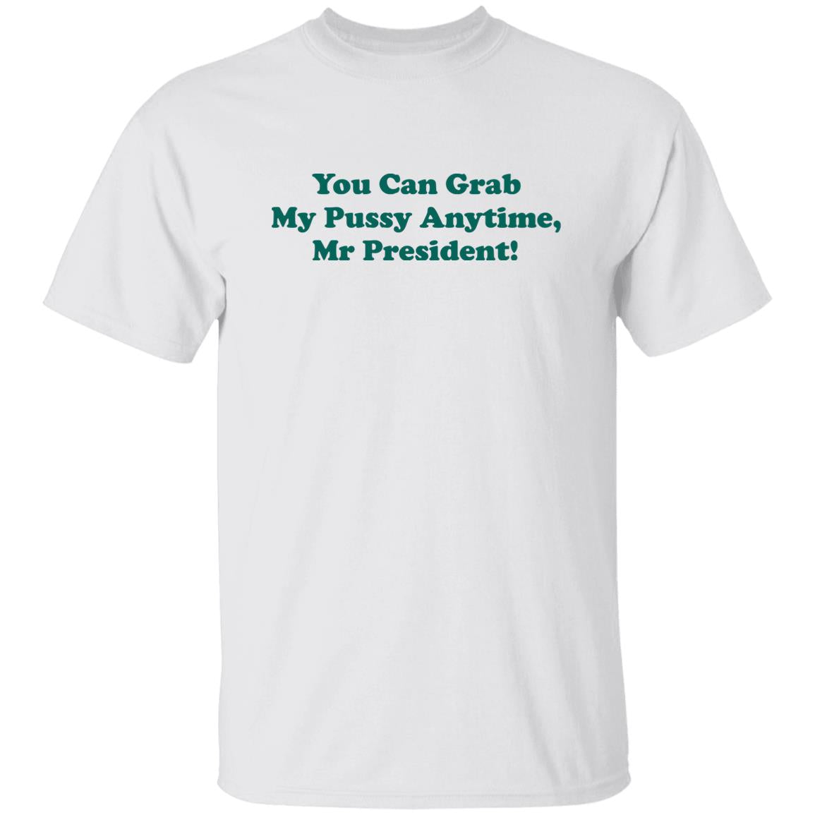 You can grab my pussy anytime Mr President shirt