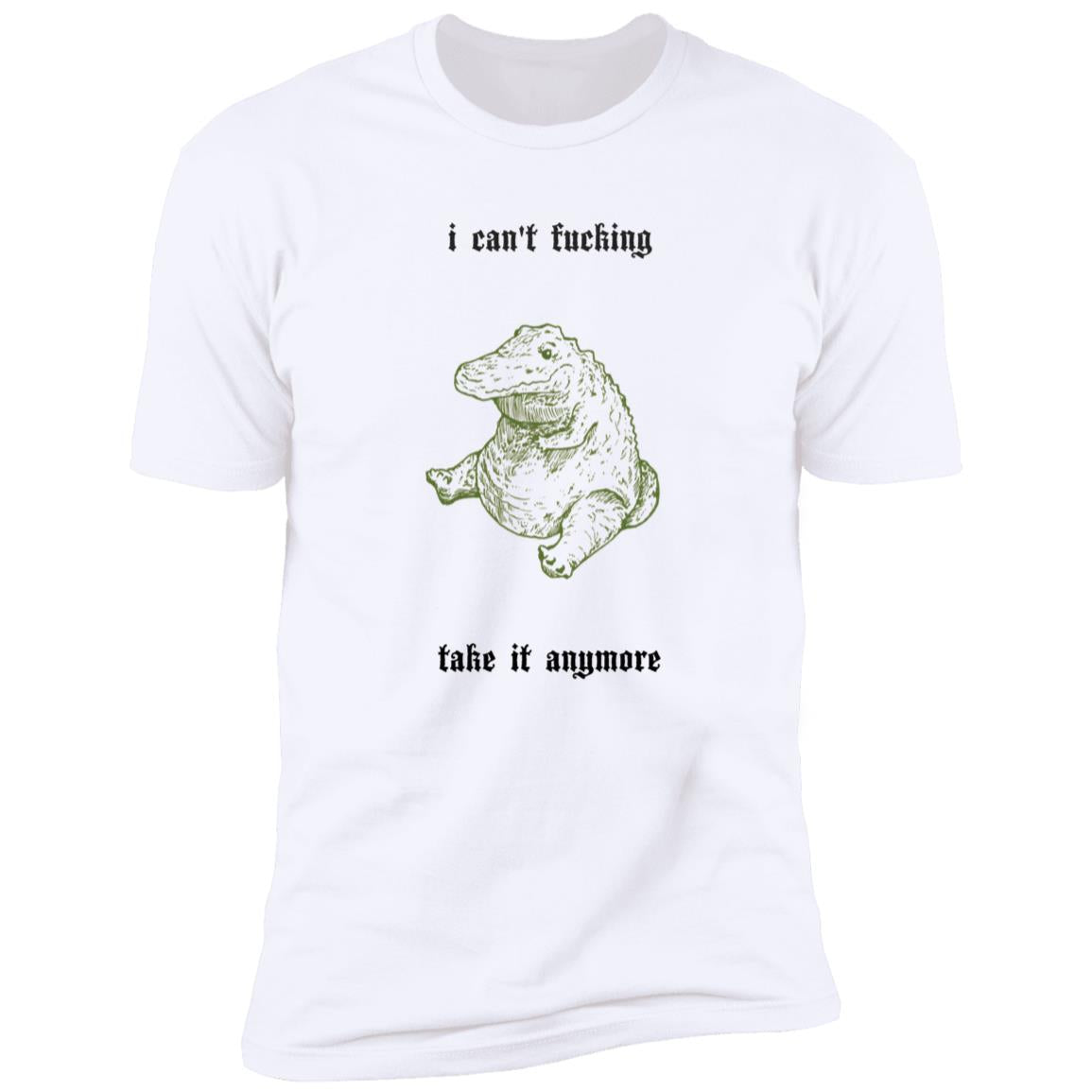 I Can't Fucking Take It Anymore Shirt