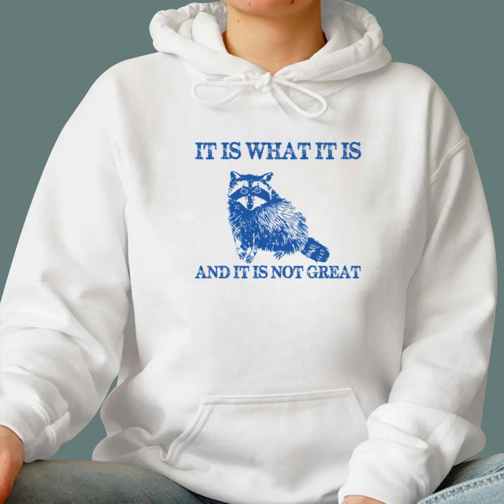 It Is What It Is And It Is Not Great T-Shirt