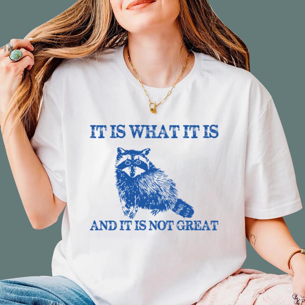 It Is What It Is And It Is Not Great T-Shirt