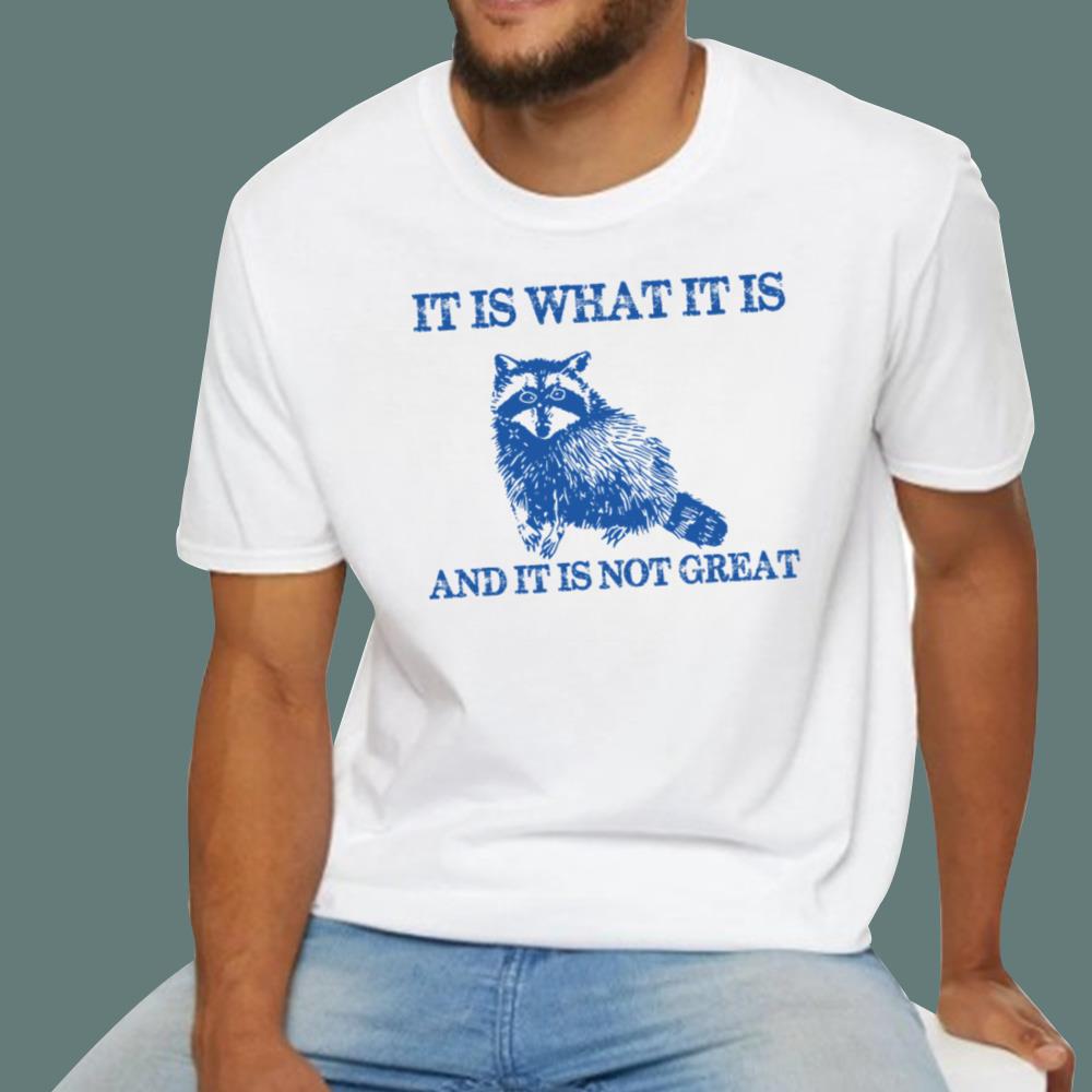 It Is What It Is And It Is Not Great T-Shirt