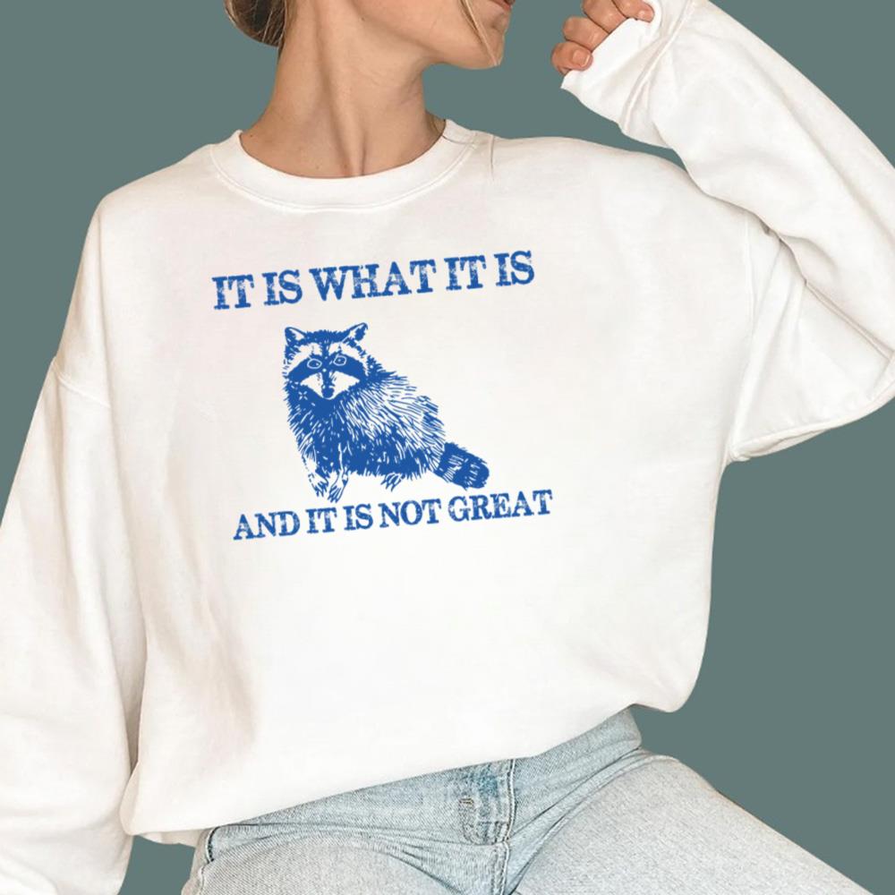 It Is What It Is And It Is Not Great T-Shirt