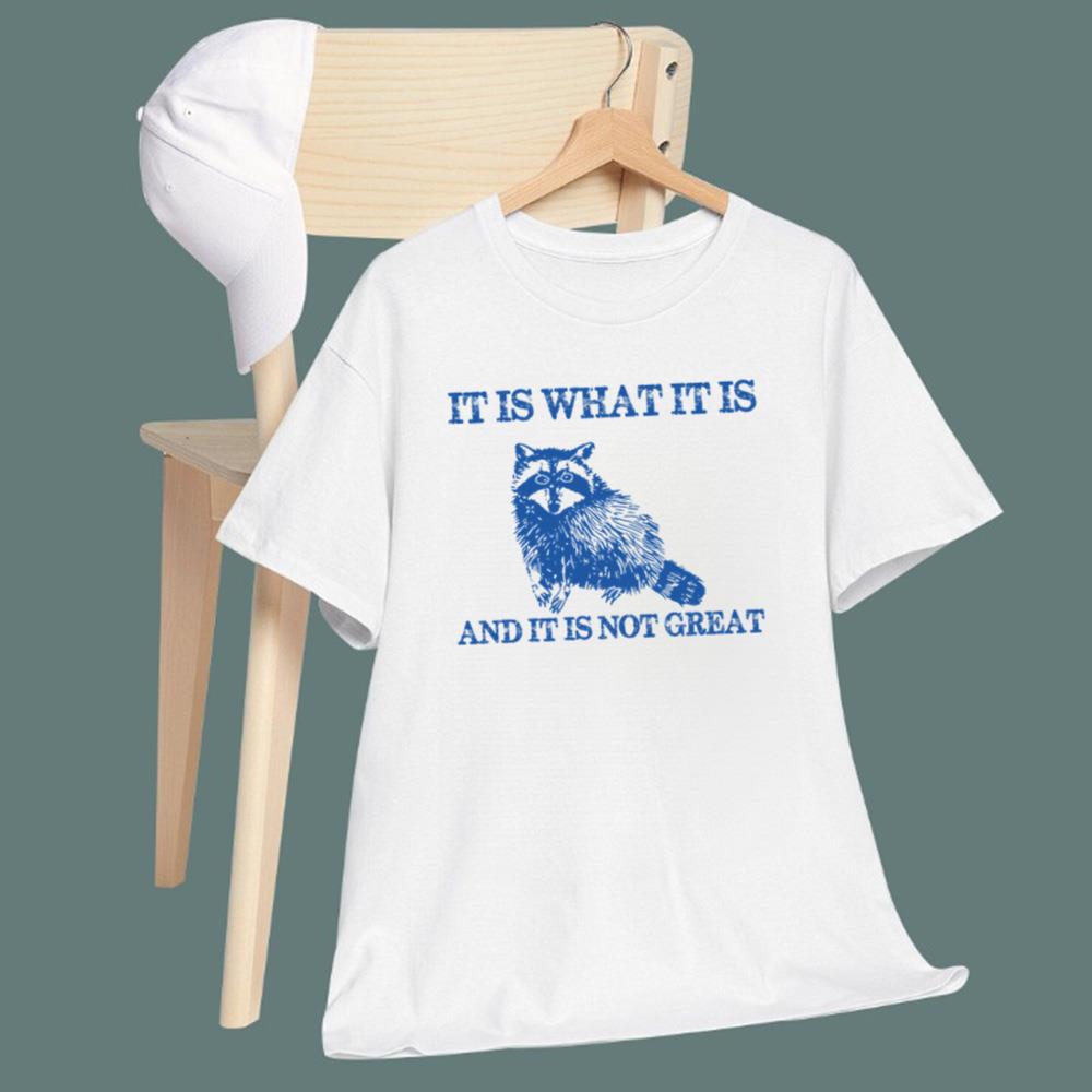 It Is What It Is And It Is Not Great T-Shirt