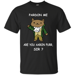 Pardon Me Are You Aaron Purr, Sir? V-Neck T-Shirt