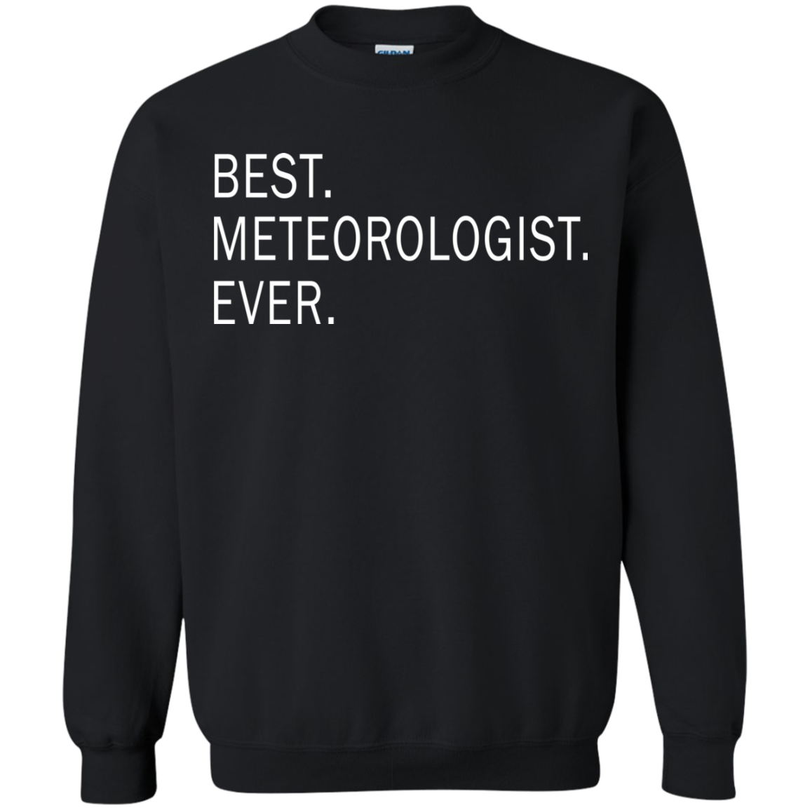 Best Meteorologist Ever Shirt, Hoodie, Tank - TeeDragons