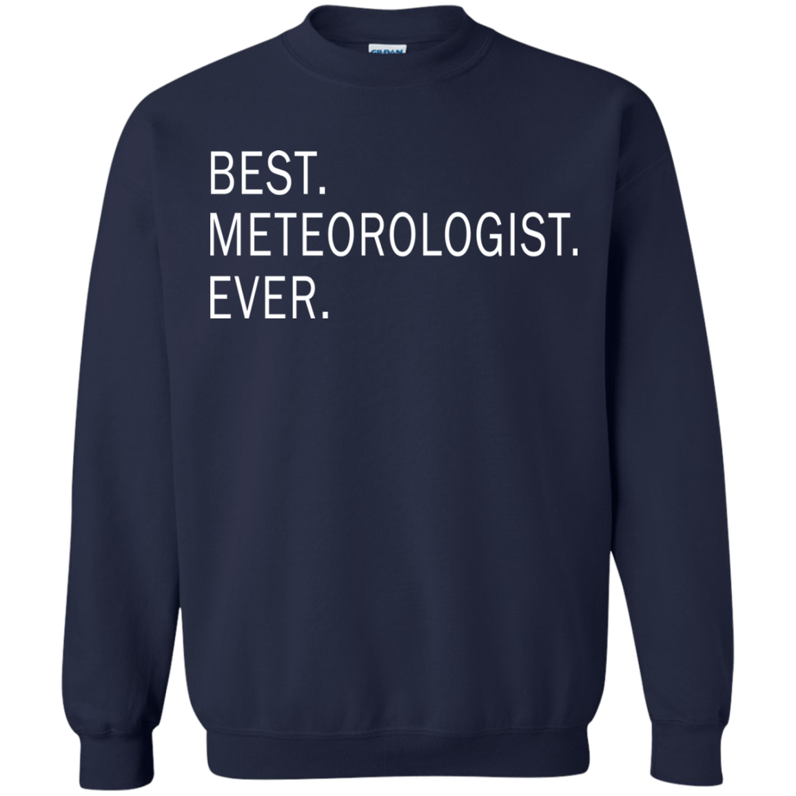 Best Meteorologist Ever Shirt, Hoodie, Tank - TeeDragons