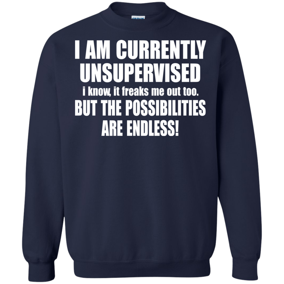 I Am Currently Unsupervised - But The Possibilities Are Endless T-Shirt - TeeDragons