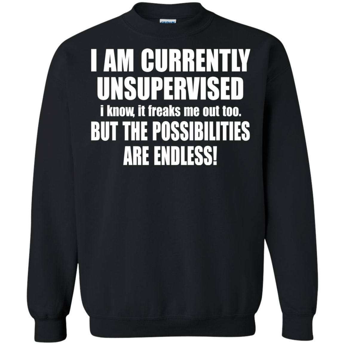 I Am Currently Unsupervised - But The Possibilities Are Endless T-Shirt - TeeDragons