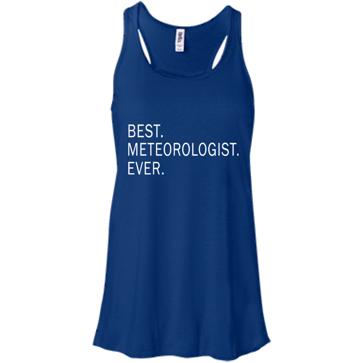 Best Meteorologist Ever Shirt, Hoodie, Tank - TeeDragons
