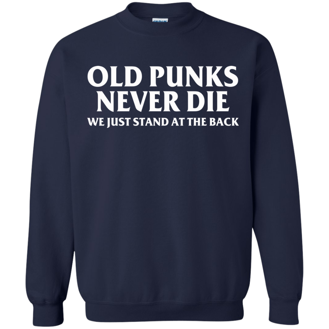 Old Punks Never Die We Just Stand At The Back T-Shirt - TeeDragons