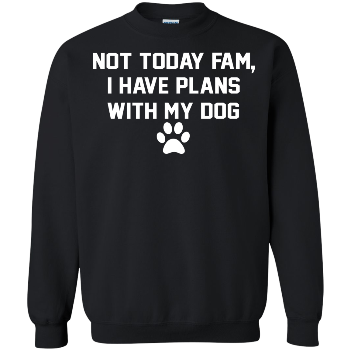 Not Today Fam, I Have Plans With My Dog Shirt, Hoodie, Tank - TeeDragons