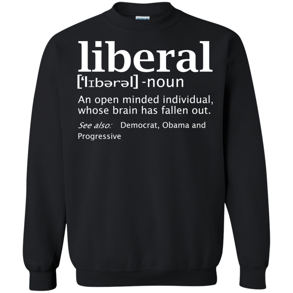 Liberal Definition - An Open Minded Individual Shirt, Hoodie, Tank - TeeDragons