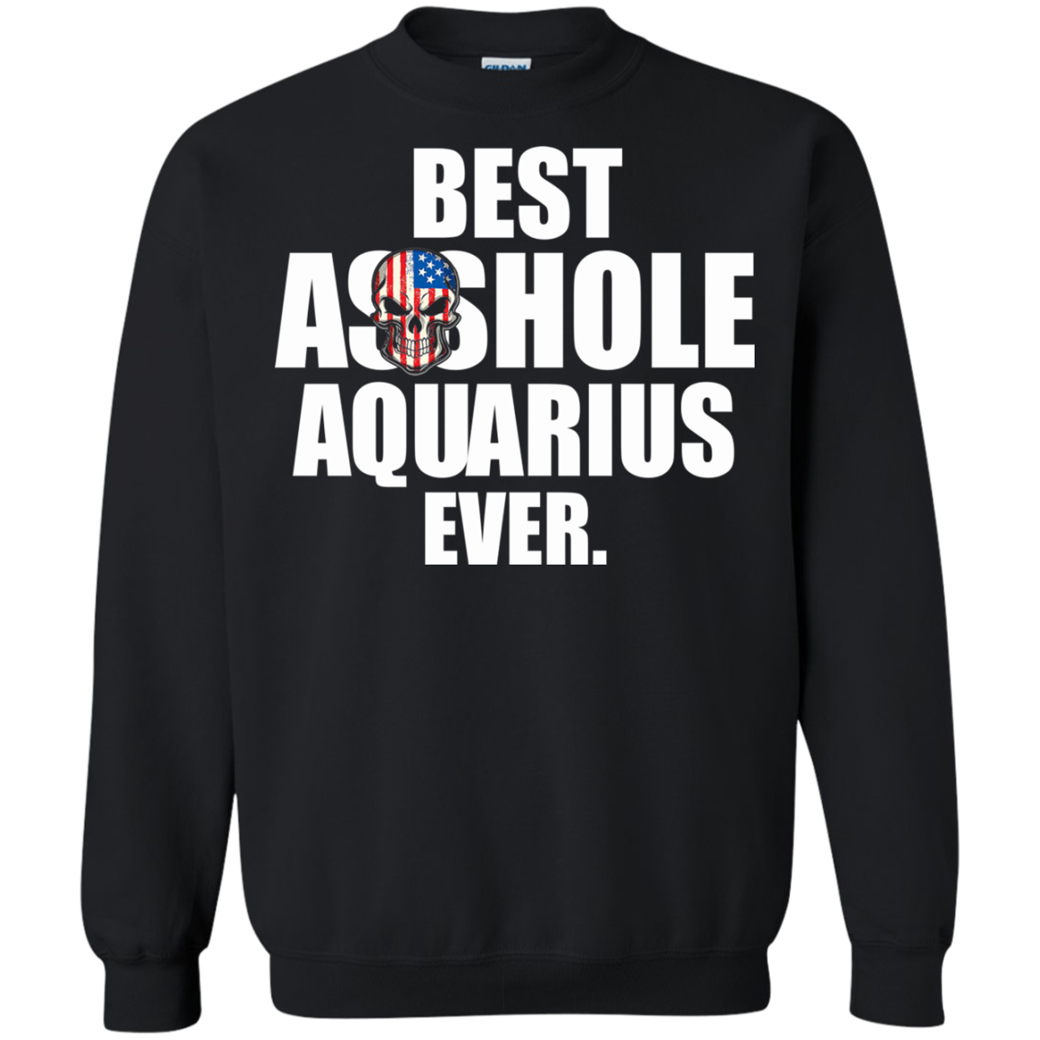 Best Asshole Aquarius Ever Shirt, Hoodie, Tank - TeeDragons