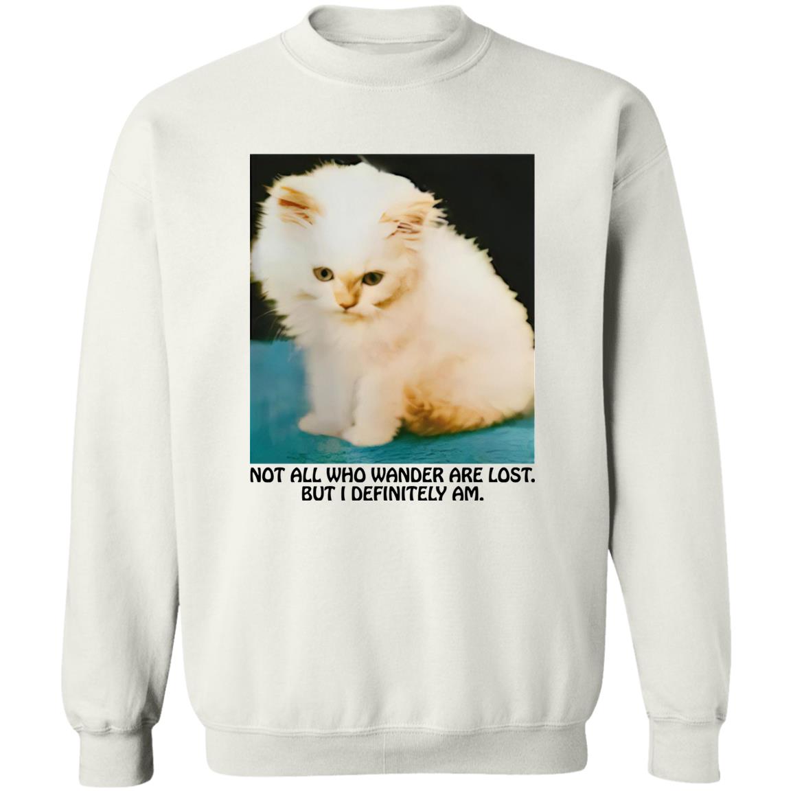 Not All Who Wander Are Lost But I Definitely Am Shirt