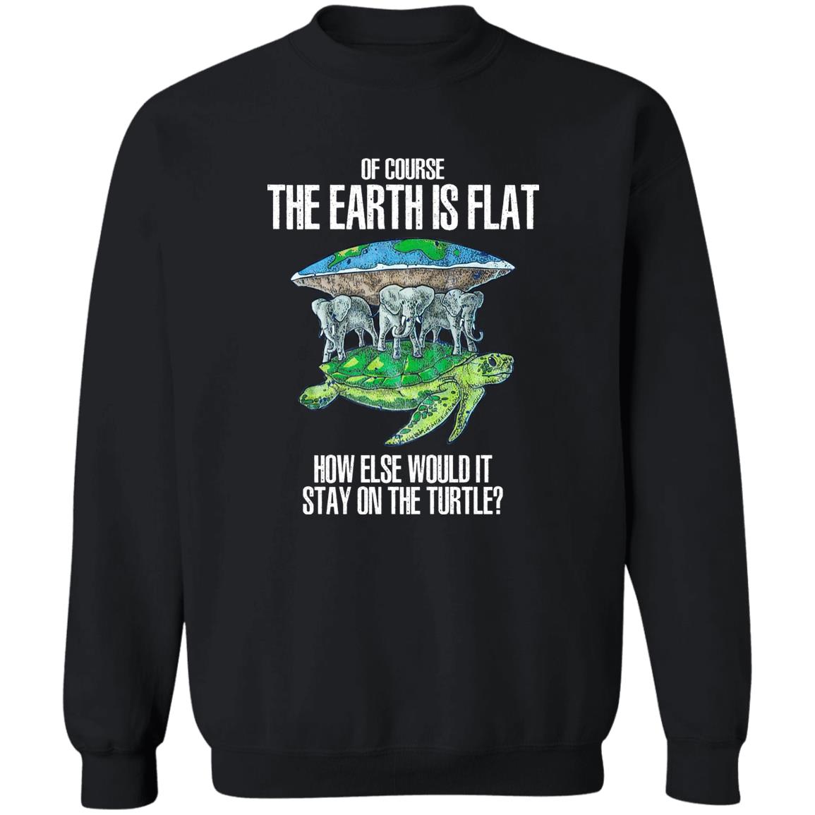 Of Course The Earth Is Flat – How Else Would It Stay On The Turtle Shirt