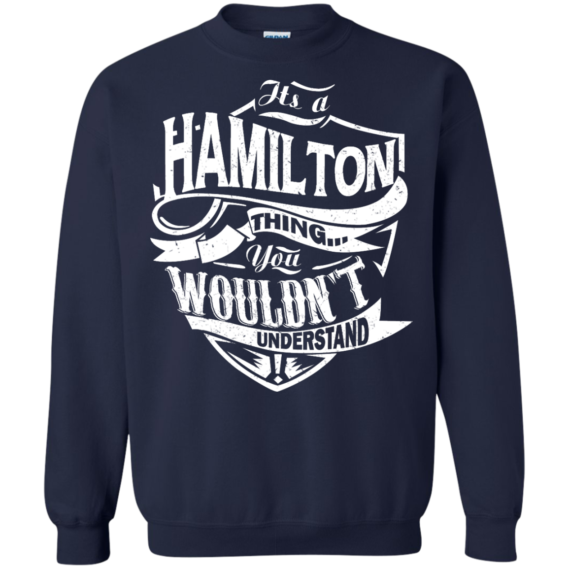 You Wouldn't Understand, It's A Hamilton Thing Shirt, Hoodie, Tank - TeeDragons