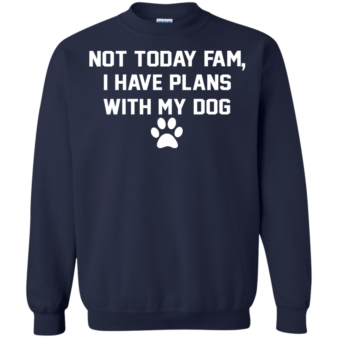 Not Today Fam, I Have Plans With My Dog Shirt, Hoodie, Tank - TeeDragons