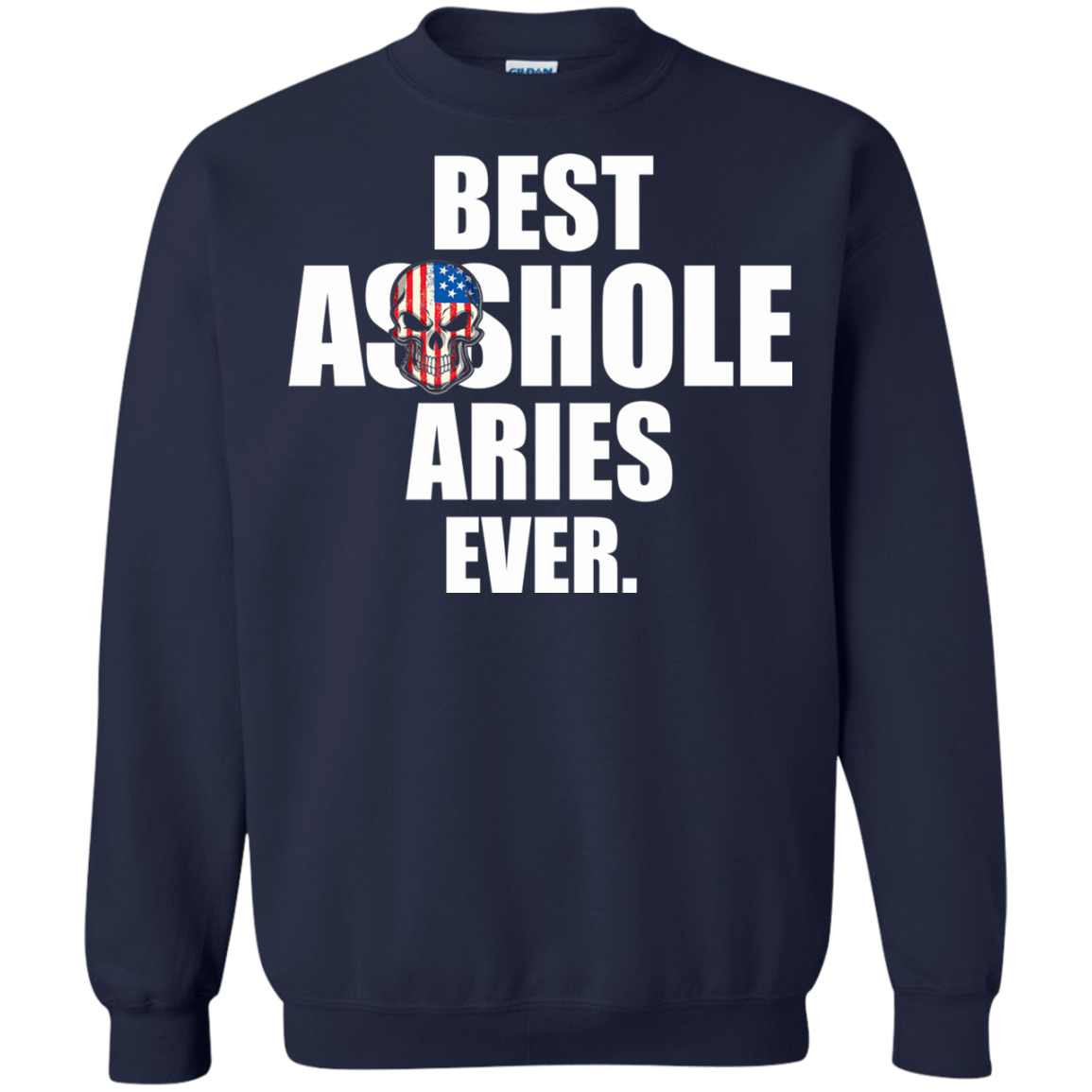Best Asshole Aries Ever Shirt, Hoodie, Tank - TeeDragons