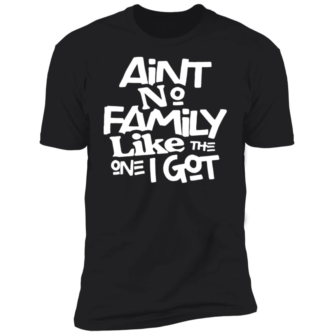 Aint no family like the one i got shirt