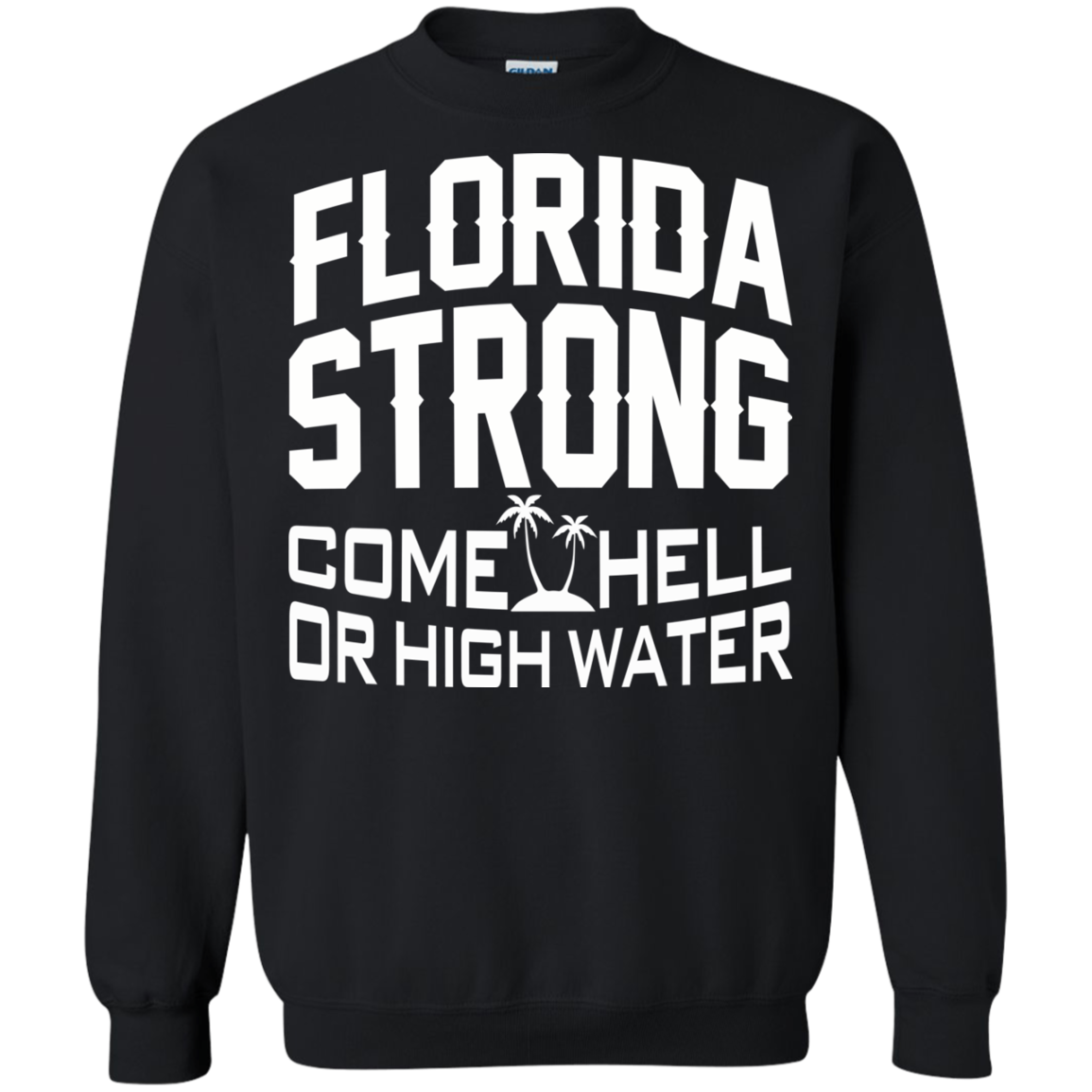 Florida Strong Come Hell Or High Water Shirt, Hoodie, Tank - TeeDragons