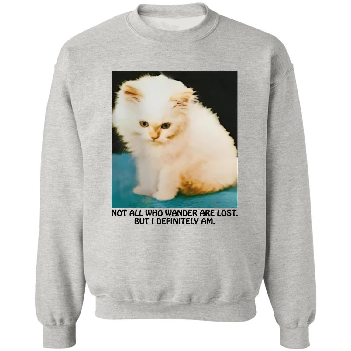 Not All Who Wander Are Lost But I Definitely Am Shirt