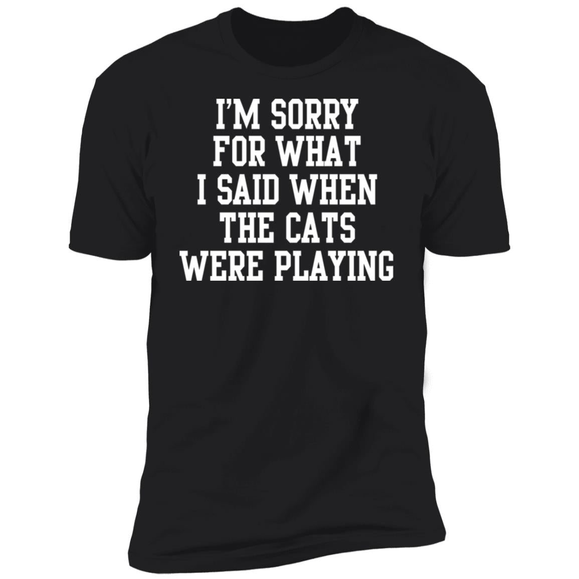 I'm sorry for what i said when the cats were playing shirt