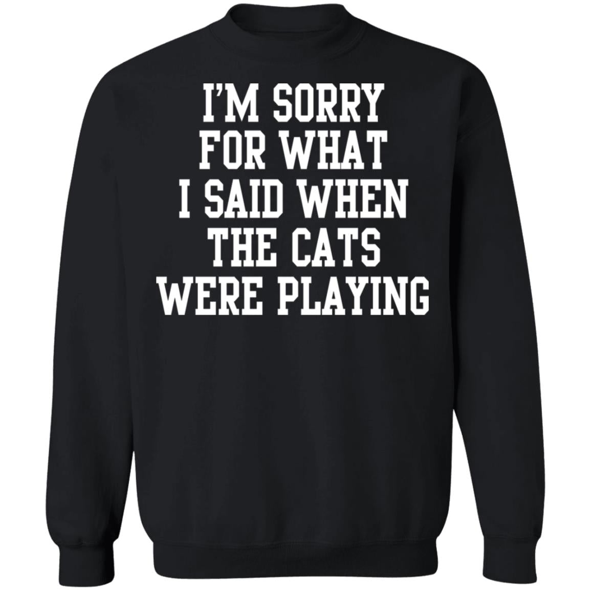 I'm sorry for what i said when the cats were playing shirt
