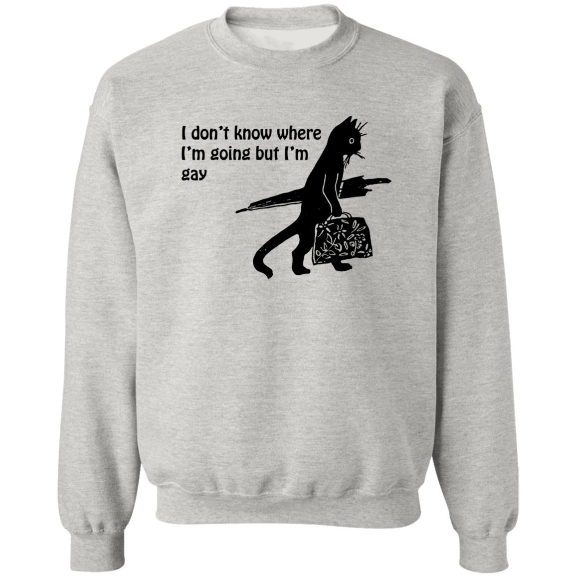 I Don’t Know Where I’m Going But I’m Gay Shirt