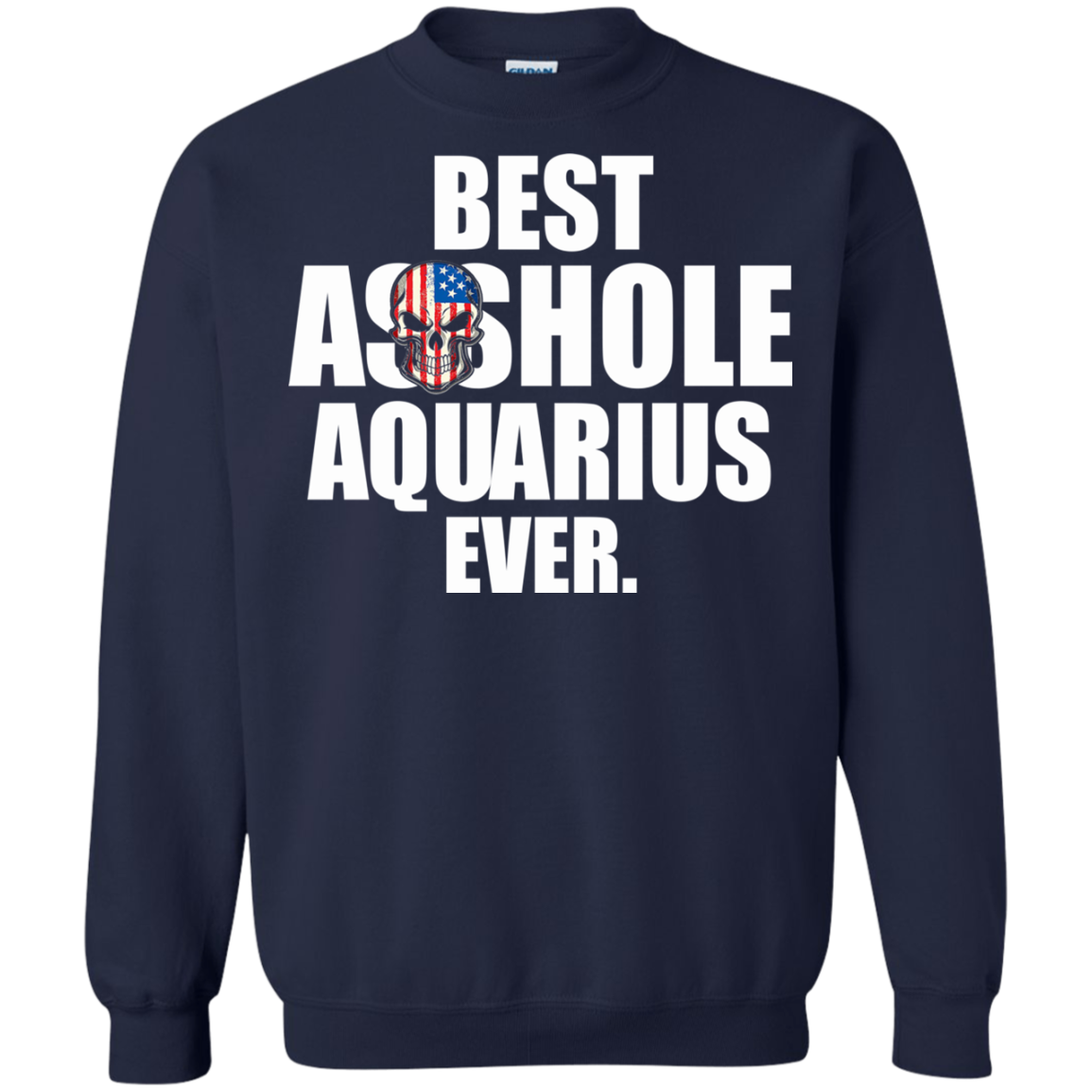 Best Asshole Aquarius Ever Shirt, Hoodie, Tank - TeeDragons