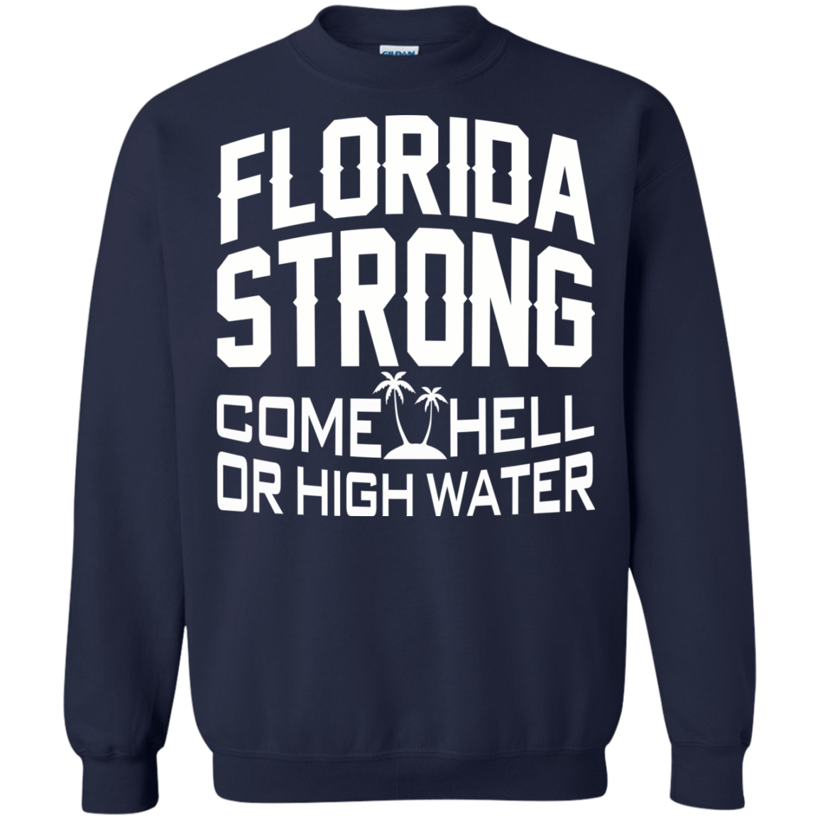 Florida Strong Come Hell Or High Water Shirt, Hoodie, Tank - TeeDragons