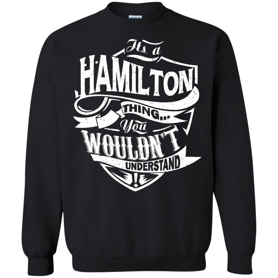 You Wouldn't Understand, It's A Hamilton Thing Shirt, Hoodie, Tank - TeeDragons