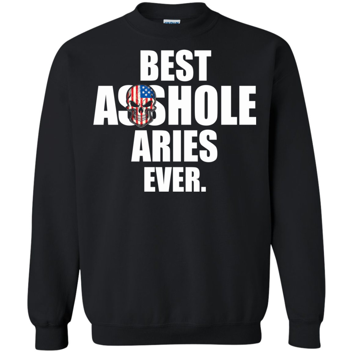 Best Asshole Aries Ever Shirt, Hoodie, Tank - TeeDragons